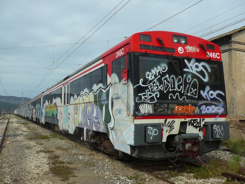 P1030902.JPG