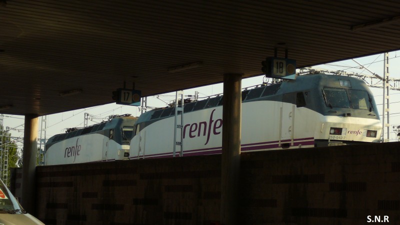 P1030005.JPG
