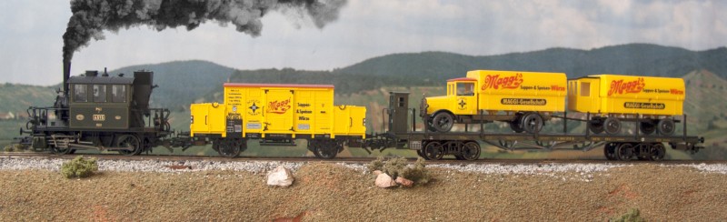 tren_Maggi.jpg