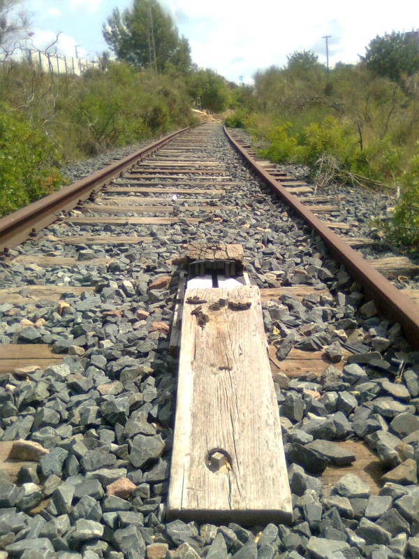 Imagen0005.jpg
