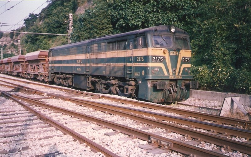 8102.jpg