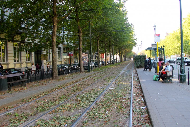 brussels_2.jpg