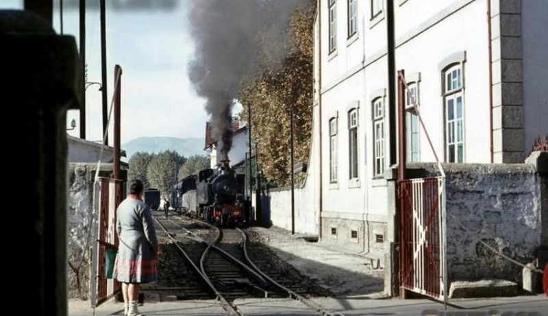 9917.jpg
