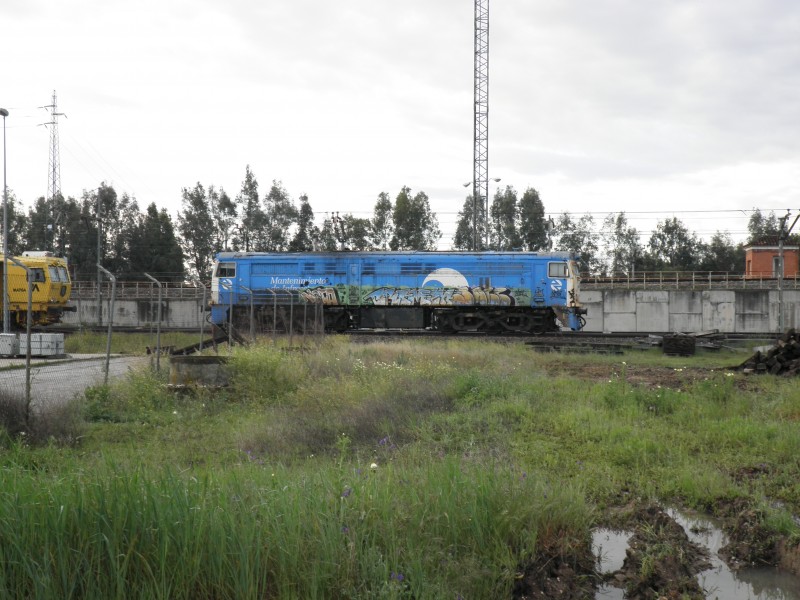 P4032112.JPG