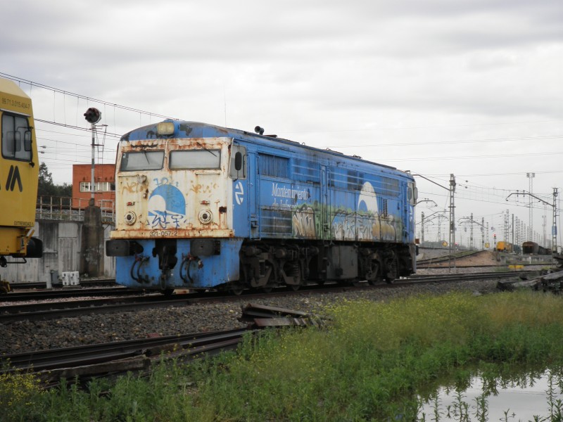 P4032114.JPG