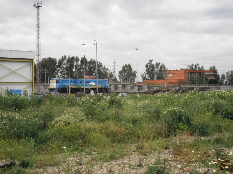 P4032124.JPG