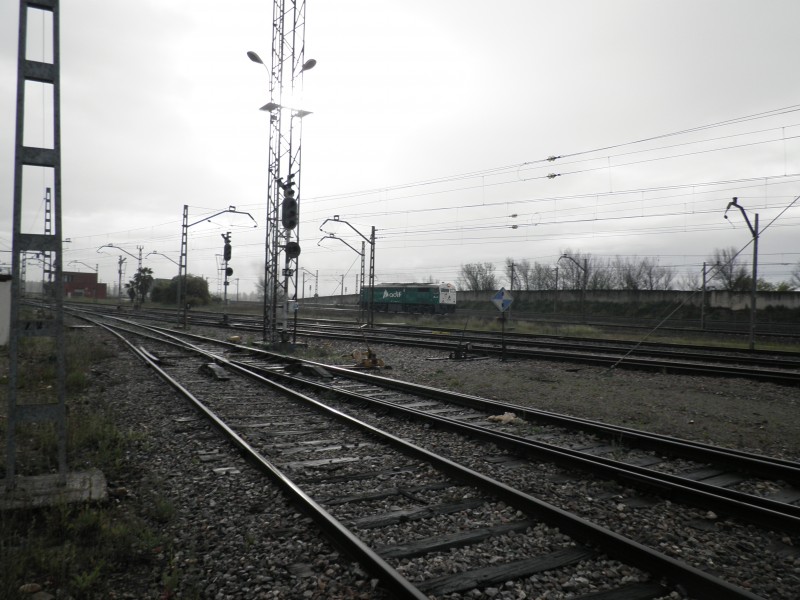 P4052125.JPG