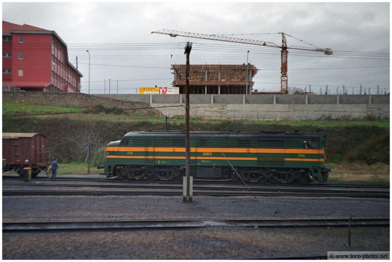 9928.jpg