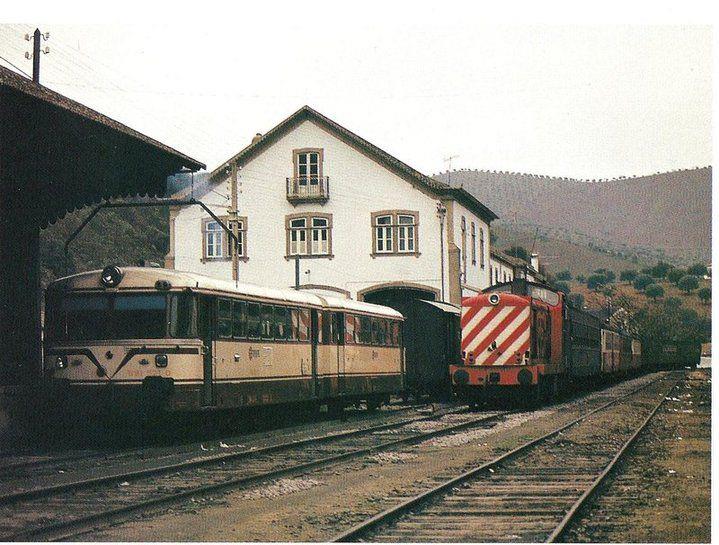 9932.jpg