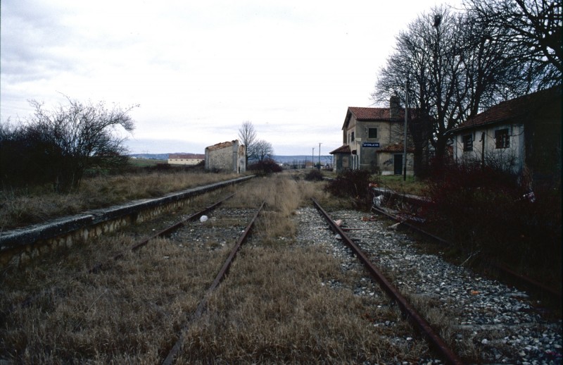 824.jpg