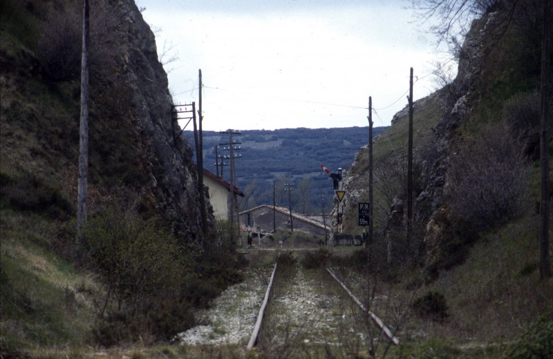 800.jpg
