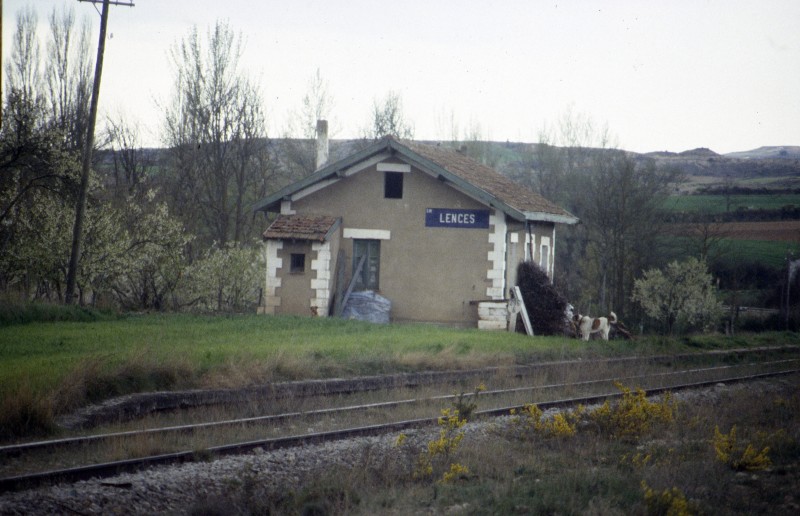794.jpg