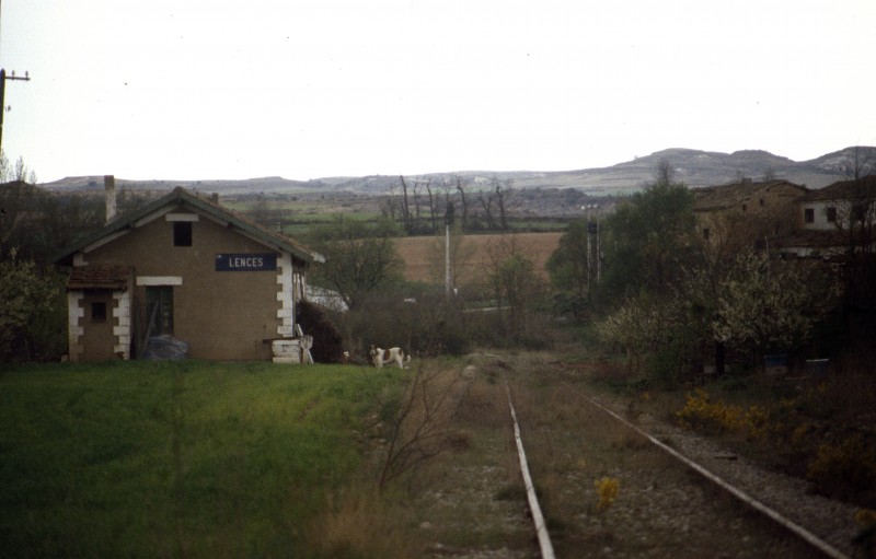 796.jpg