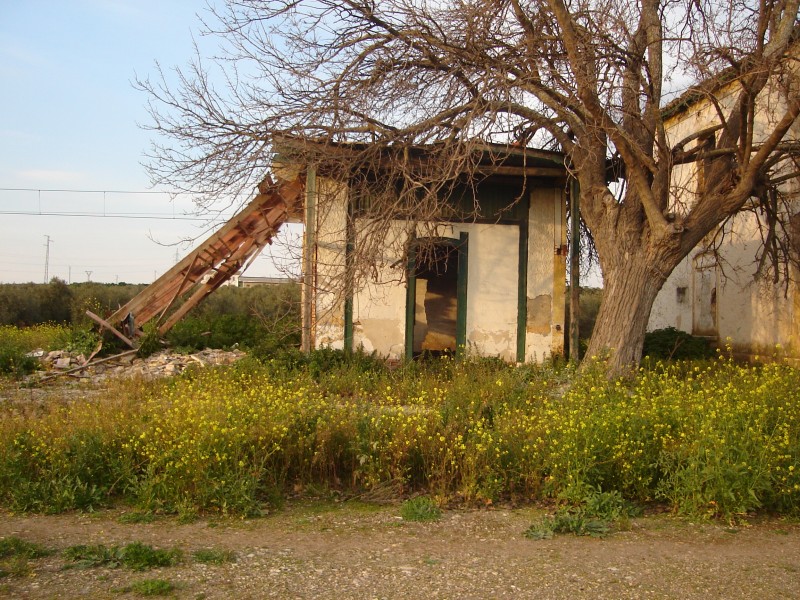 DSC01585.JPG