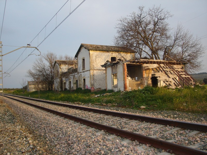 DSC01586.JPG