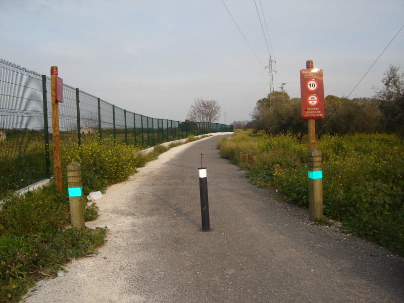 DSC01575.JPG