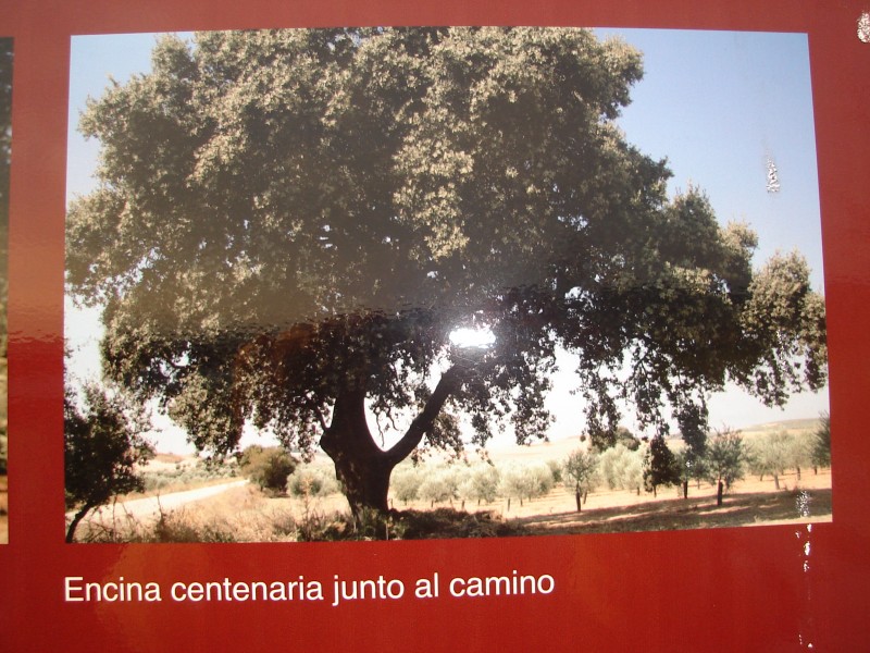 DSC01615.JPG