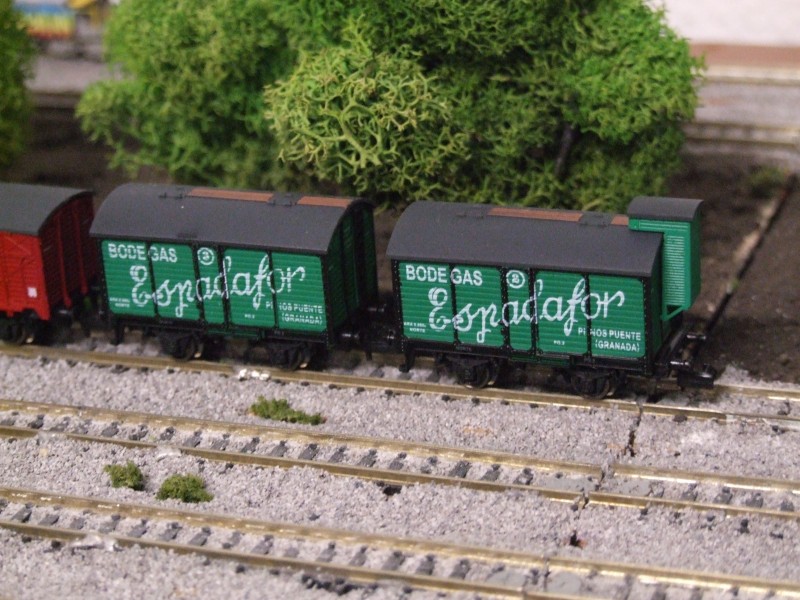DSCF6554.JPG