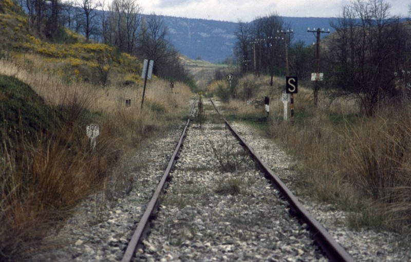 793.jpg