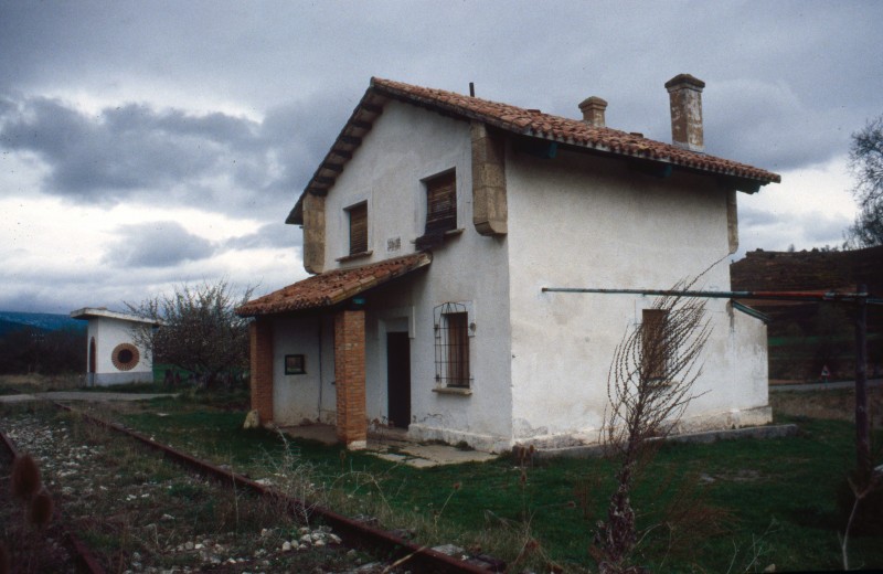 798.jpg