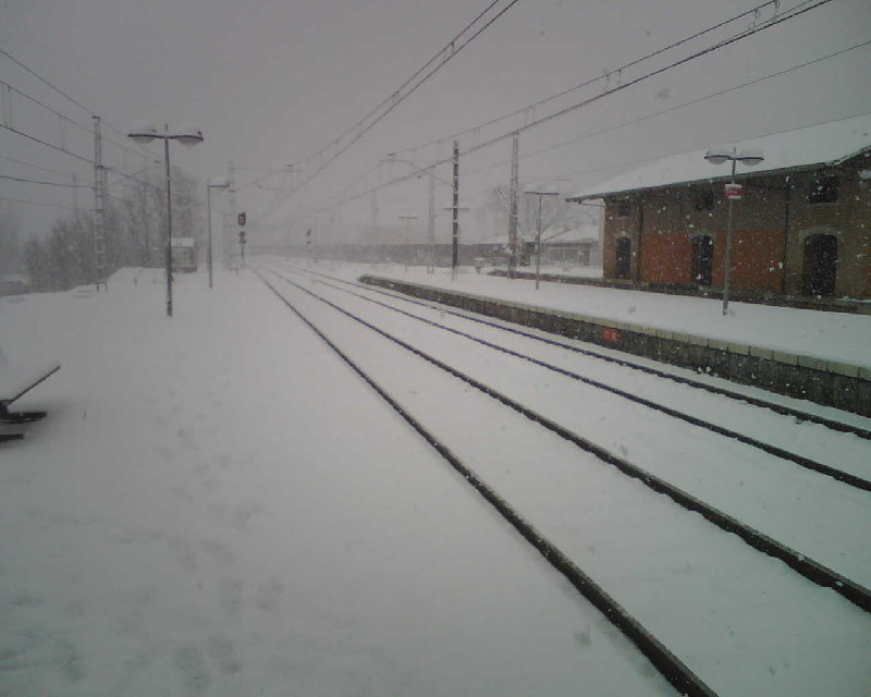 IMG00024.jpg