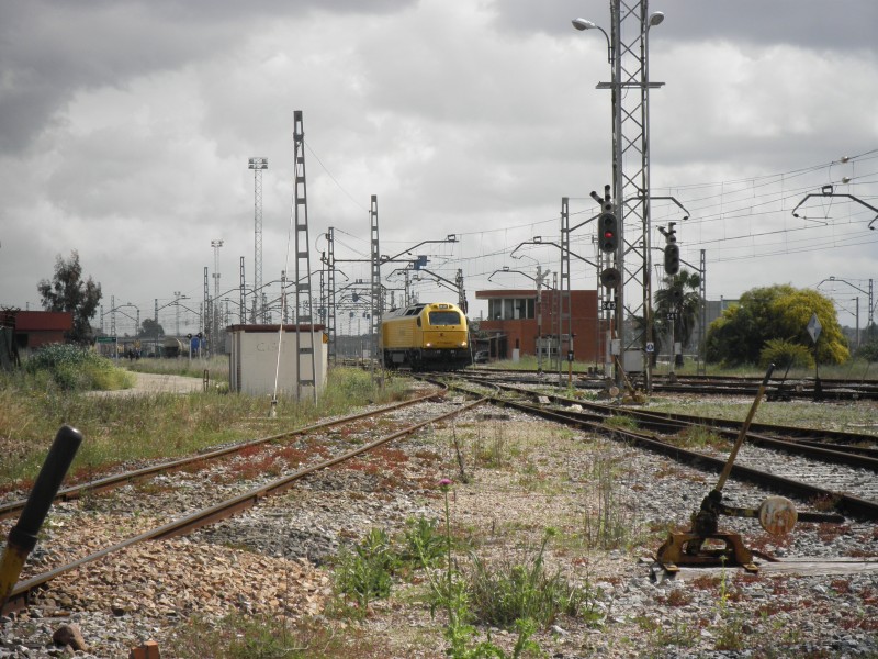 P4112162.JPG