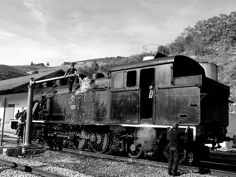 9956.JPG