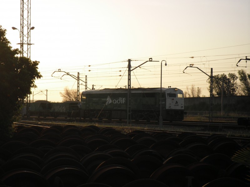 P4152154.JPG