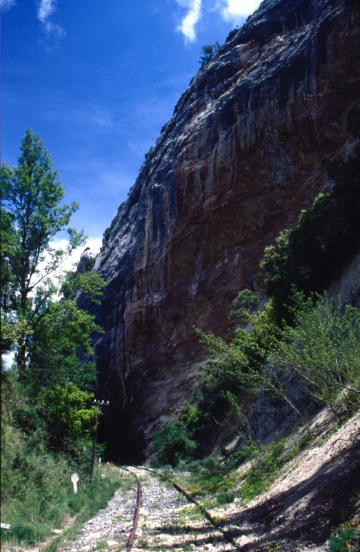 790.jpg