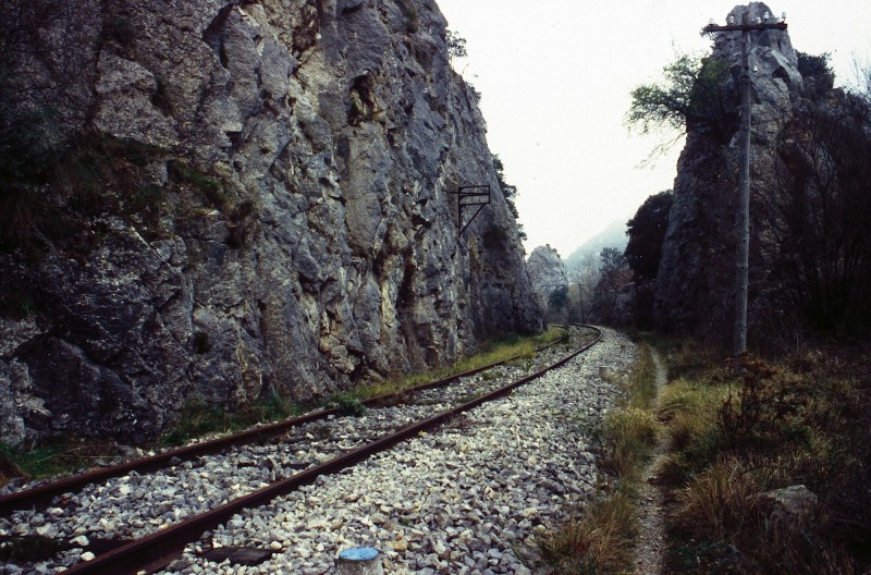 679.jpg