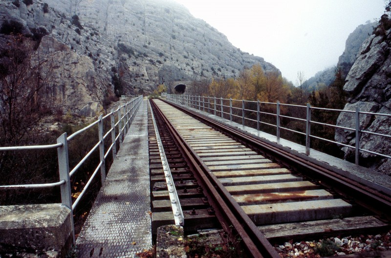 678.jpg