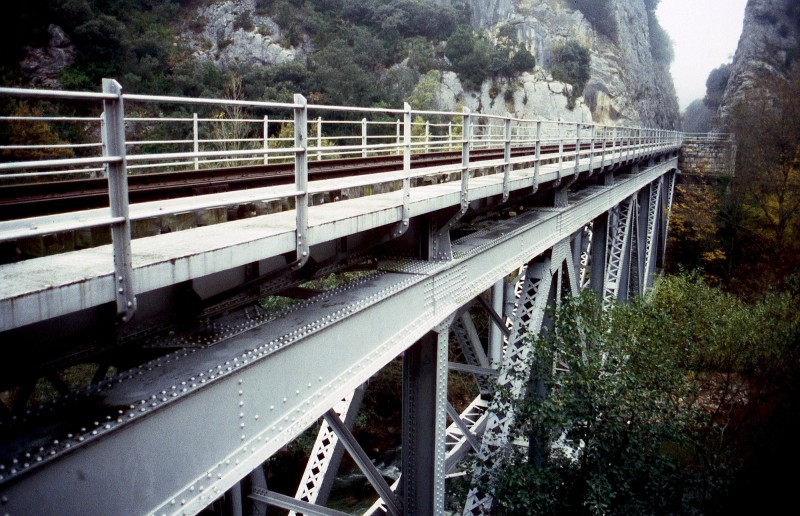 677.jpg