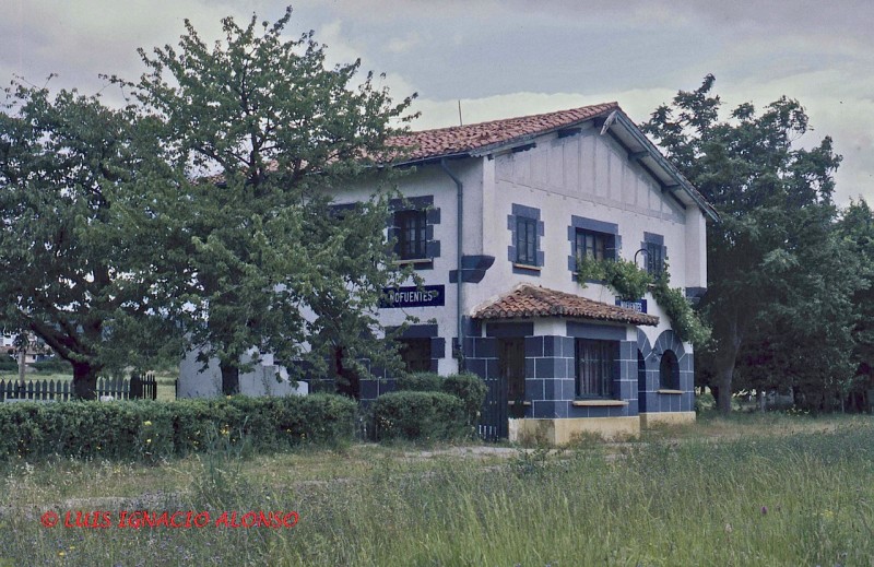 SM-1.jpg