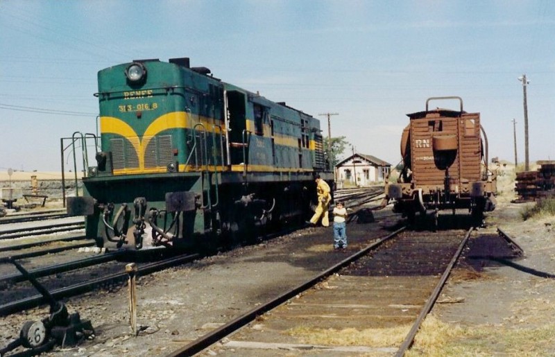 1295.jpg