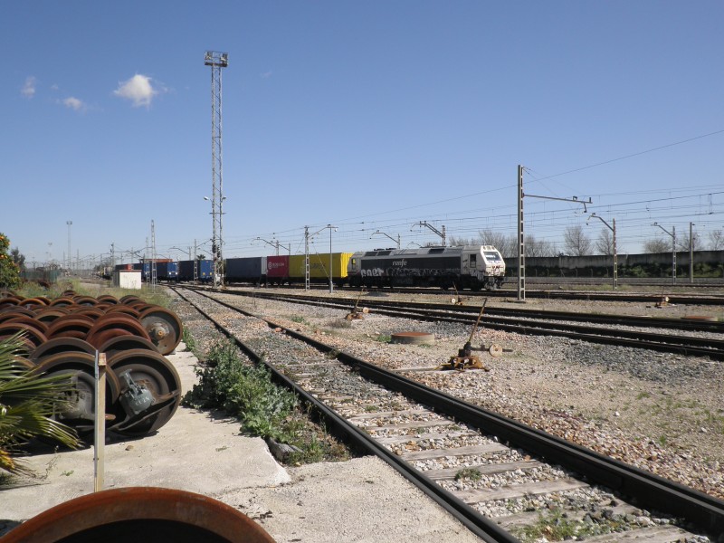 P3141976.JPG