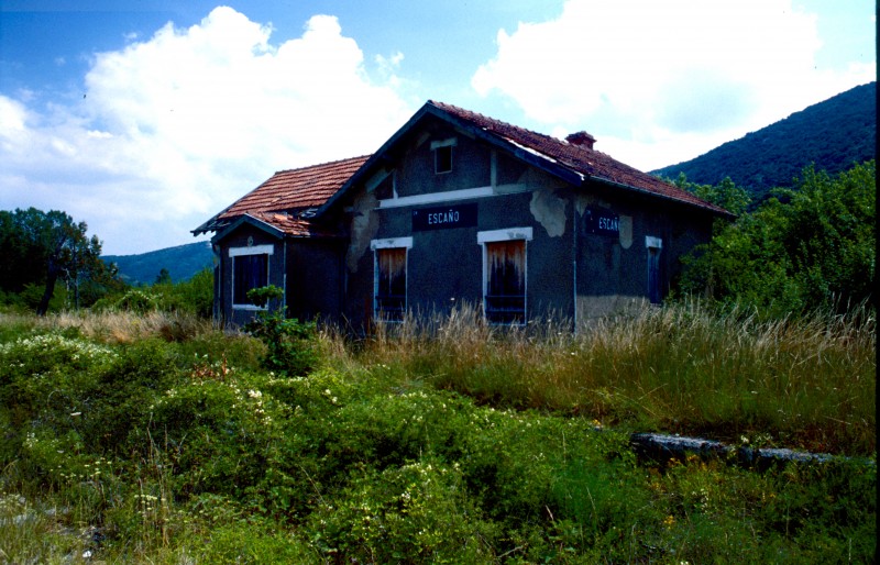 819.jpg