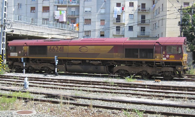 66241.JPG