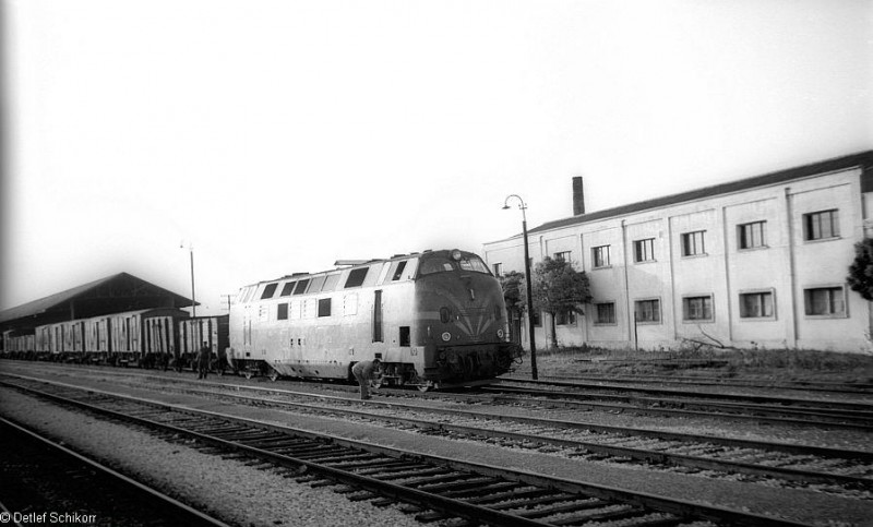 8237.jpg