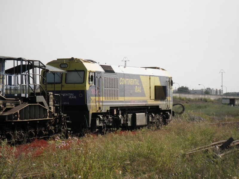 P5062224.JPG