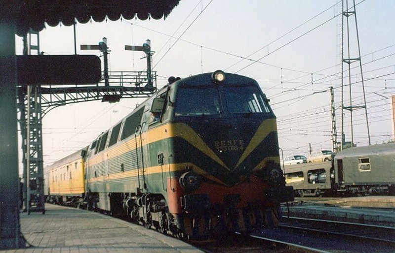 333022.jpg