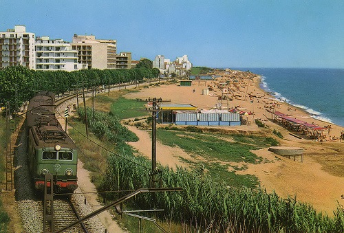 la_foto.JPG