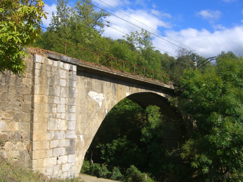 CIMG8324.JPG