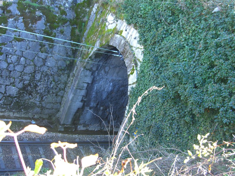CIMG6978.JPG