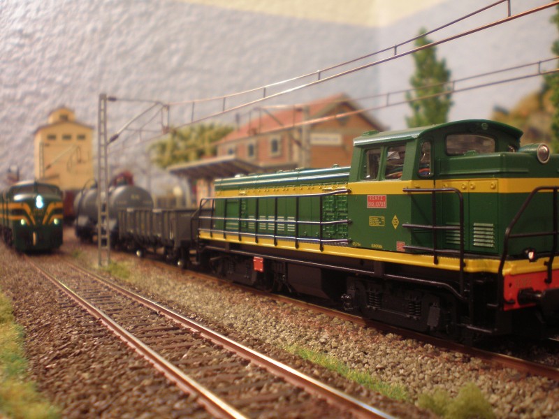 P5020406.JPG