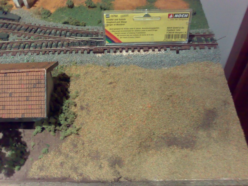 03092008402.jpg