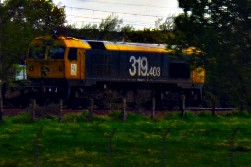 319403.JPG