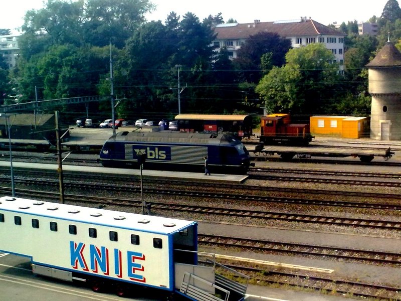 005.jpg