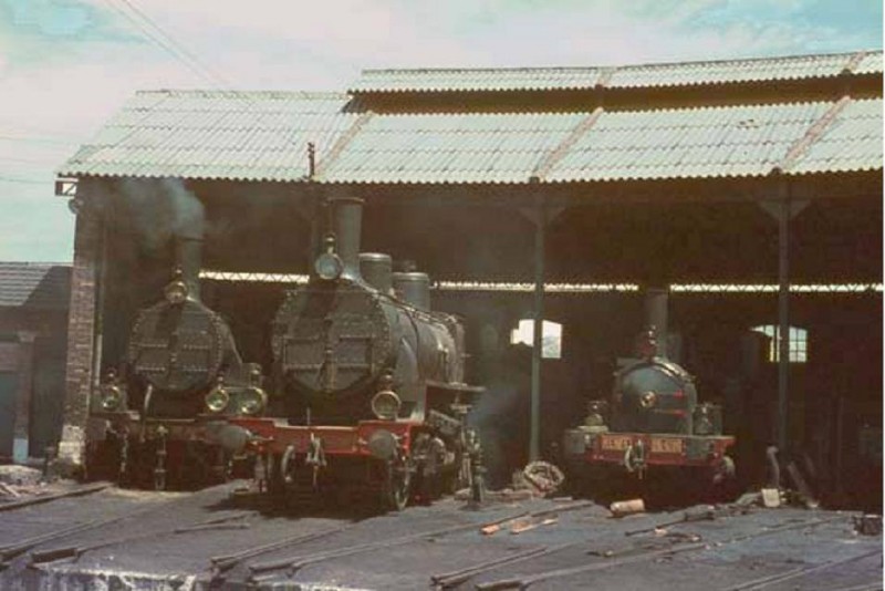 8262.jpg