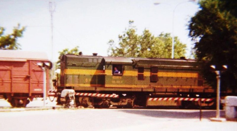 8261.jpg