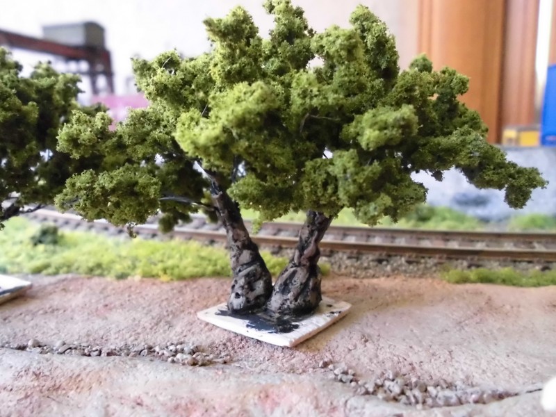 olivos 006.jpg
